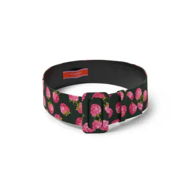 La DoubleJ Medium Belt | Thumbnail 1 La DoubleJ Medium Belt | Thumbnail 1