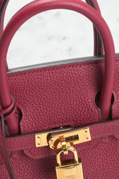 HERMÈS Togo Birkin 25 Handbag | Thumbnail 8