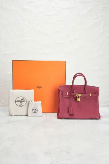 HERMÈS Togo Birkin 25 Handbag | Thumbnail 10