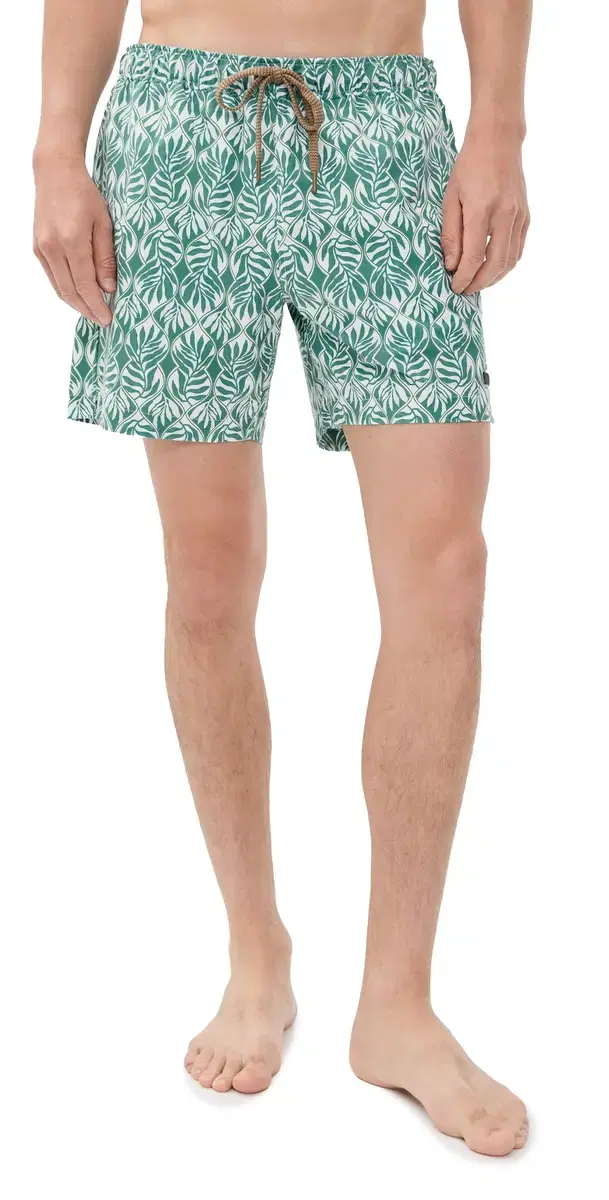All Day Trunks 6 Biscayne eafy Vine