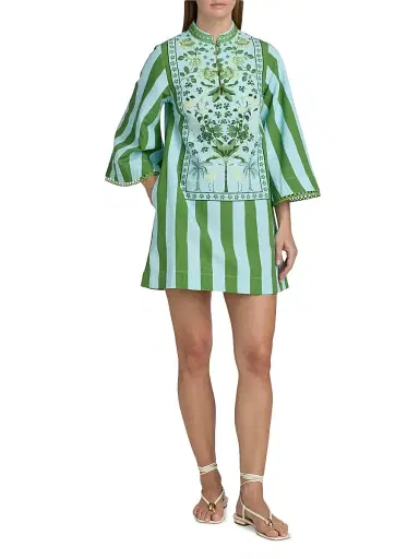 VERANDAH Women's Ammama Anj Striped Cotton-Blend Minidress - Ice Blue Leaf Green Floral - Size Medium | Thumbnail 2