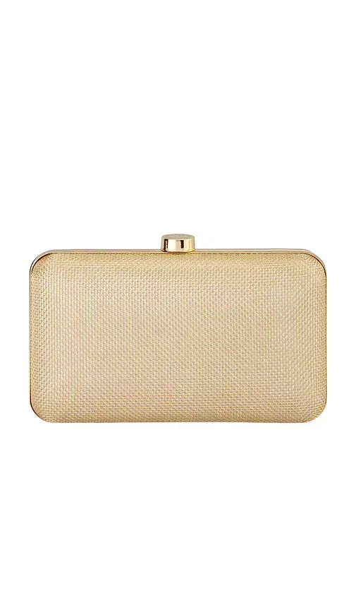 Jen Mesh Clutch