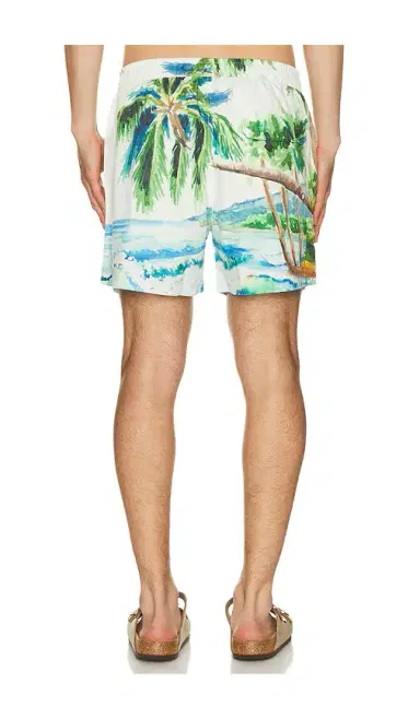 Duvin Design Postcard Swim Shorts | Thumbnail 2