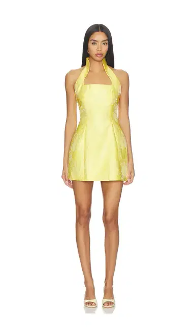 Lovers and Friends Mollie Mini Dress | Thumbnail 1