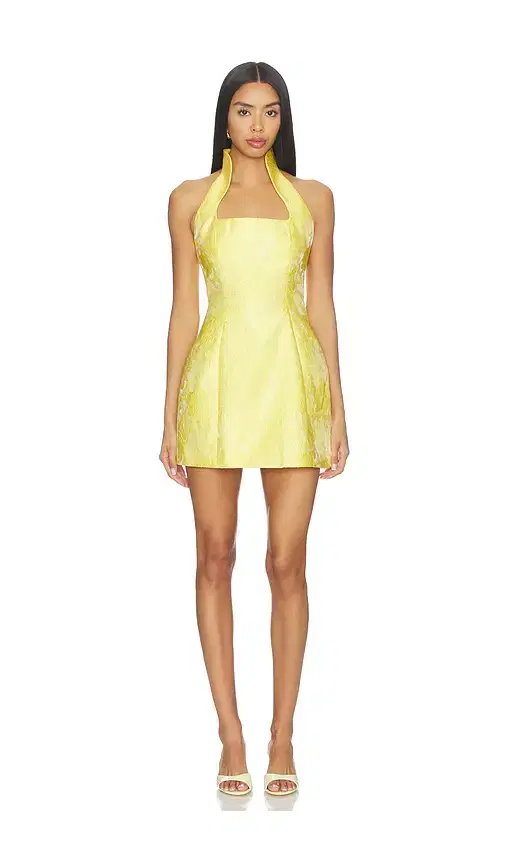 Lovers and Friends Mollie Mini Dress