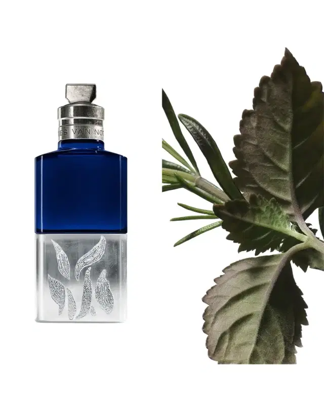 Dries Van Noten Voodoo Chile Eau de Parfum, 3.4 oz.