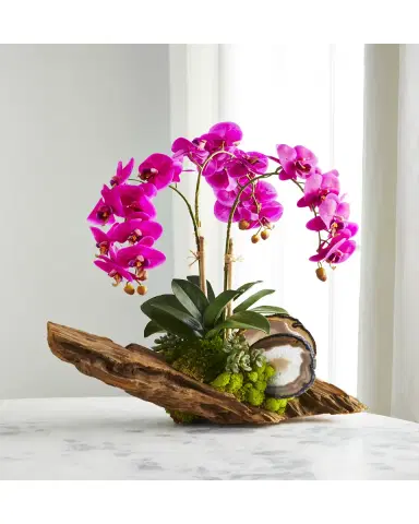 T & C Floral Company Fuchsia Orchid in Driftwood Agate Slabs | Thumbnail 2