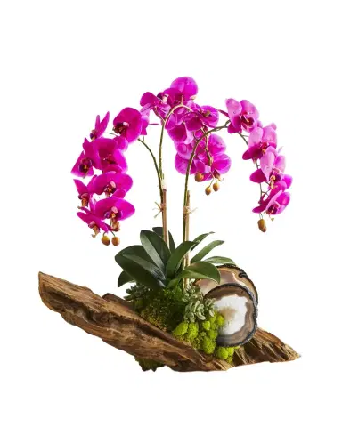 T & C Floral Company Fuchsia Orchid in Driftwood Agate Slabs | Thumbnail 1