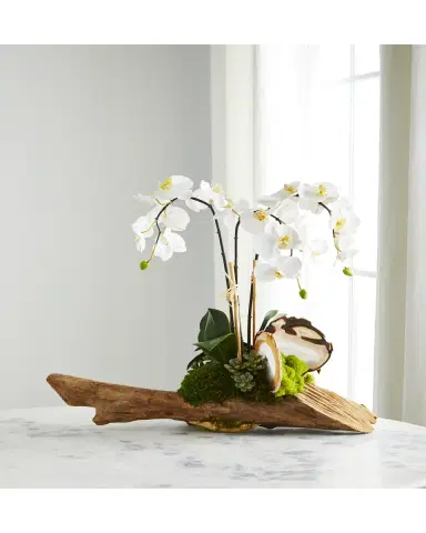 T & C Floral Company White Orchid in Driftwood Agate Slabs | Thumbnail 2