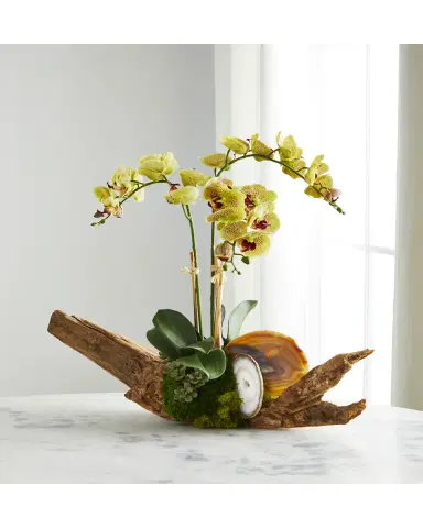 T & C Floral Company Green Orchid in Driftwood Agate Slabs | Thumbnail 2 T & C Floral Company Green Orchid in Driftwood Agate Slabs | Thumbnail 2