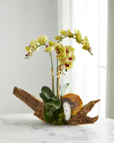 T & C Floral Company Green Orchid in Driftwood Agate Slabs | Thumbnail 1 T & C Floral Company Green Orchid in Driftwood Agate Slabs | Thumbnail 1