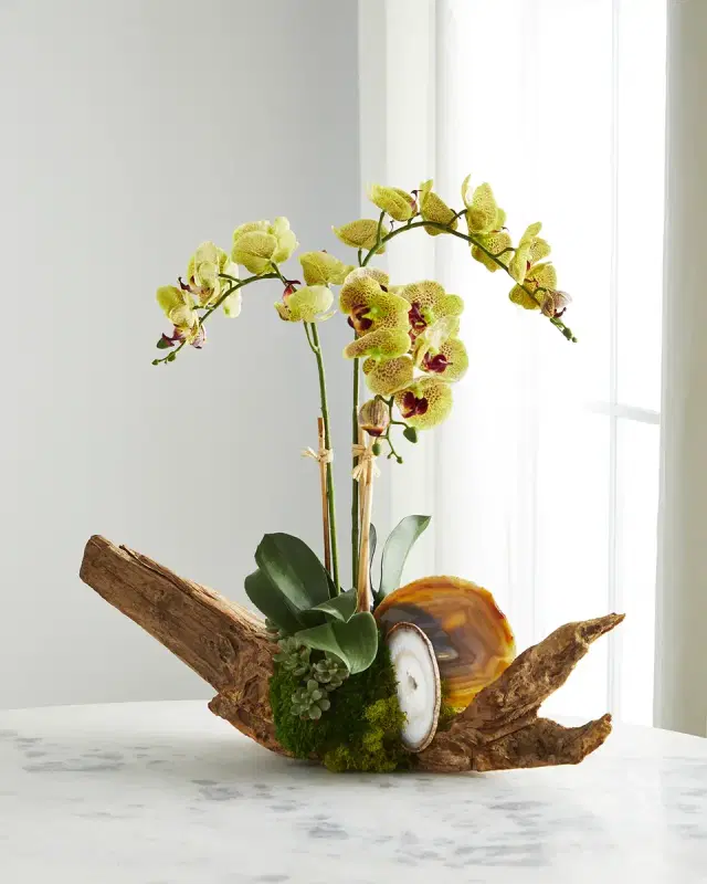 T & C Floral Company Green Orchid in Driftwood Agate Slabs