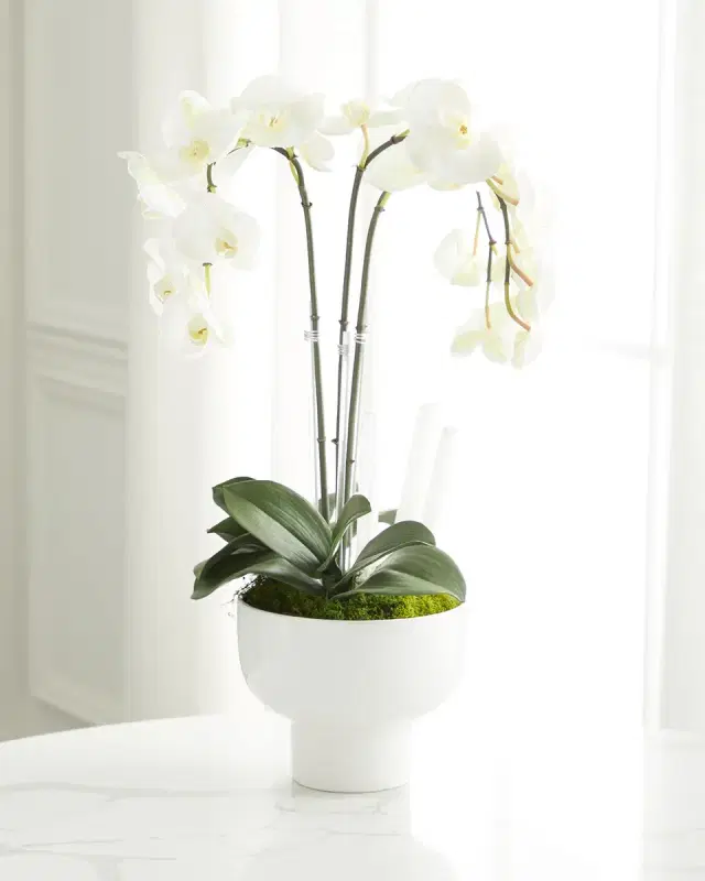 T & C Floral Company Triple Orchid Faux Florals in White Ceramic Pot with Selenite - 23"