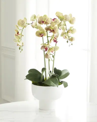 T & C Floral Company Triple Orchid Faux Florals in White Ceramic Pot with Selenite - 23" | Thumbnail 1 T & C Floral Company Triple Orchid Faux Florals in White Ceramic Pot with Selenite - 23" | Thumbnail 1