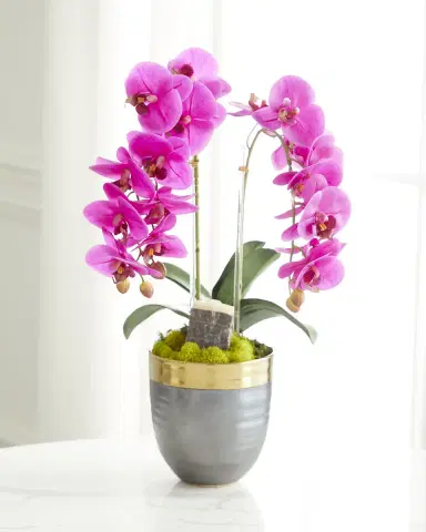 T & C Floral Company Double Orchid Faux Florals in Gold-Rimmed Ceramic Pot with Zebra Stone - 22" | Thumbnail 1 T & C Floral Company Double Orchid Faux Florals in Gold-Rimmed Ceramic Pot with Zebra Stone - 22" | Thumbnail 1