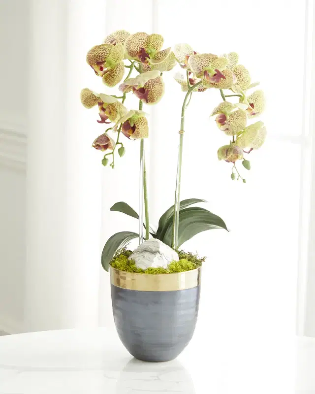 T & C Floral Company Double Orchid Faux Florals in Gold-Rimmed Ceramic Pot with Zebra Stone - 22"
