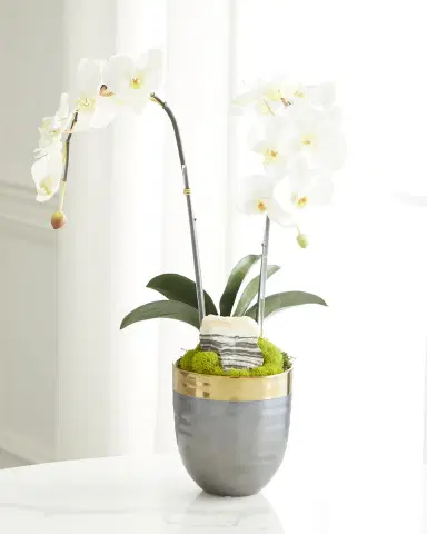 T & C Floral Company Double Orchid Faux Florals in Gold-Rimmed Ceramic Pot with Zebra Stone - 22" | Thumbnail 1 T & C Floral Company Double Orchid Faux Florals in Gold-Rimmed Ceramic Pot with Zebra Stone - 22" | Thumbnail 1