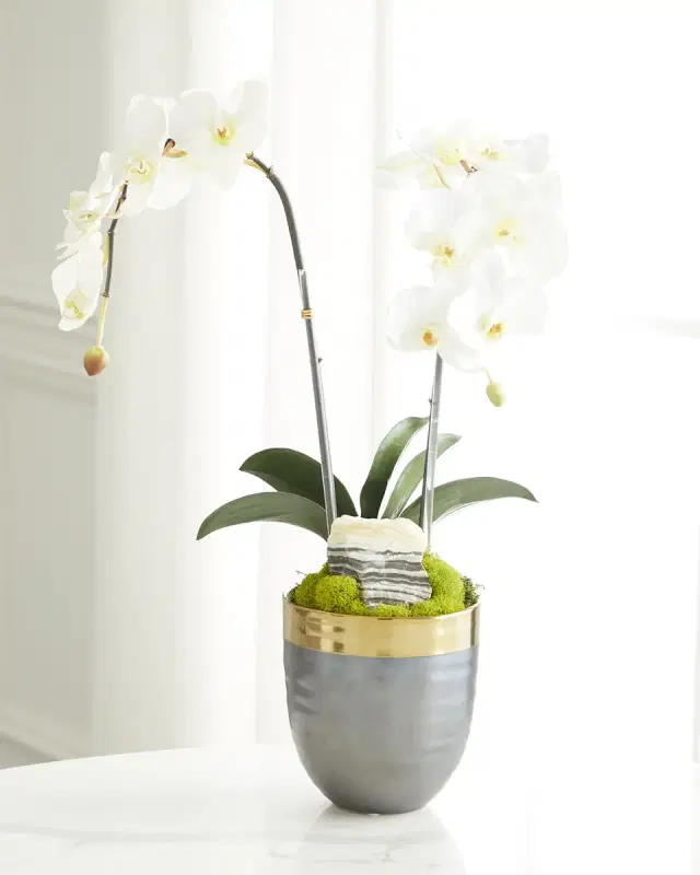 T & C Floral Company Double Orchid Faux Florals in Gold-Rimmed Ceramic Pot with Zebra Stone - 22"