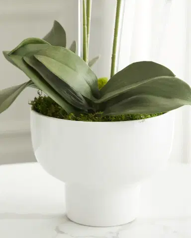 T & C Floral Company Triple Orchid Faux Florals in White Ceramic Pot with Selenite - 23" | Thumbnail 2 T & C Floral Company Triple Orchid Faux Florals in White Ceramic Pot with Selenite - 23" | Thumbnail 2