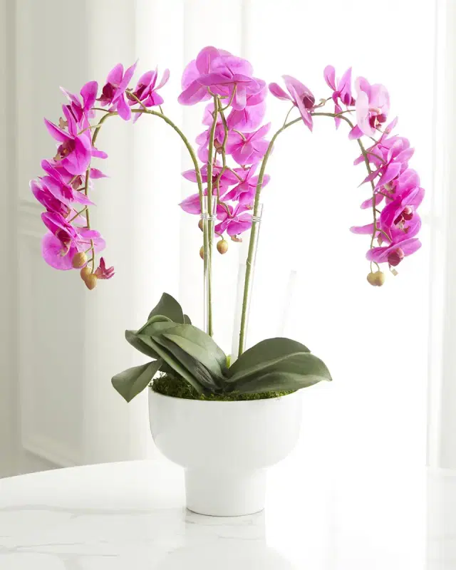 T & C Floral Company Triple Orchid Faux Florals in White Ceramic Pot with Selenite - 23"