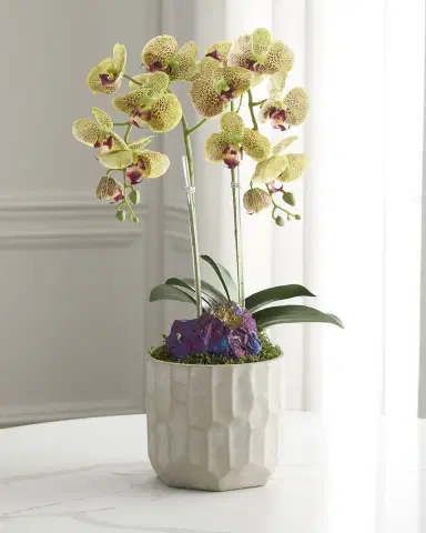 T & C Floral Company Double Orchid with Peacock Ore 22" Faux Floral Arrangement in Concrete Pot | Thumbnail 3 T & C Floral Company Double Orchid with Peacock Ore 22" Faux Floral Arrangement in Concrete Pot | Thumbnail 3