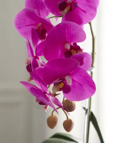 T & C Floral Company Double Orchid with Peacock Ore 22" Faux Floral Arrangement in Concrete Pot | Thumbnail 4 T & C Floral Company Double Orchid with Peacock Ore 22" Faux Floral Arrangement in Concrete Pot | Thumbnail 4
