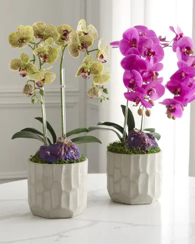 T & C Floral Company Double Orchid with Peacock Ore 22" Faux Floral Arrangement in Concrete Pot | Thumbnail 1 T & C Floral Company Double Orchid with Peacock Ore 22" Faux Floral Arrangement in Concrete Pot | Thumbnail 1