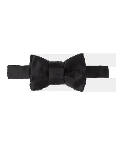 Charvet Silk Satin Bow Tie | Thumbnail 2