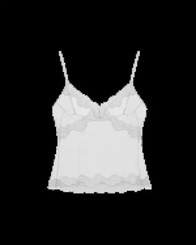 16Arlington Clio Lace-Trim Sheer Top | Thumbnail 2
