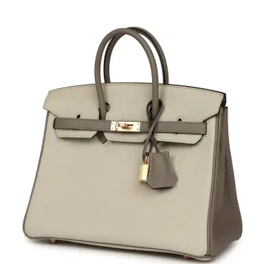 HERMÈS Pre-owned Hermes Special Order (HSS) Birkin 25 Beton and Gris Asphalt Togo Rose Gold Hardware | Thumbnail 5 HERMÈS Pre-owned Hermes Special Order (HSS) Birkin 25 Beton and Gris Asphalt Togo Rose Gold Hardware | Thumbnail 5