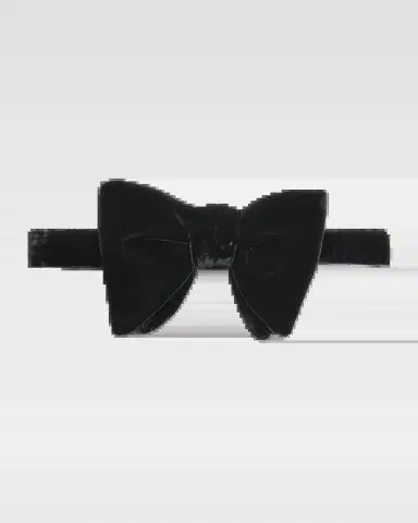 Tom Ford Men's Velvet Pre-Tied Bow Tie | Thumbnail 2