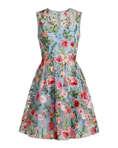 Mac Duggal Floral-Embroidered Lace Illusion A-Line Mini Dress | Thumbnail 1 Mac Duggal Floral-Embroidered Lace Illusion A-Line Mini Dress | Thumbnail 1