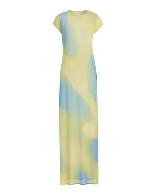 Fia Printed Mesh Cover-Up Maxi Dress