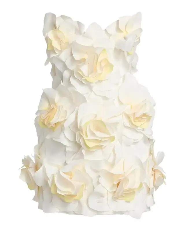 Jackhill 3D Floral Minidress