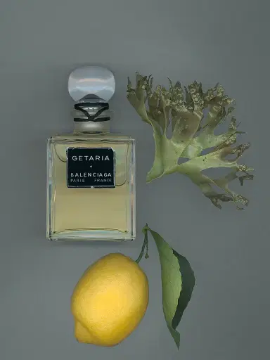 Balenciaga Getaria Parfum 3.4 oz | Thumbnail 6