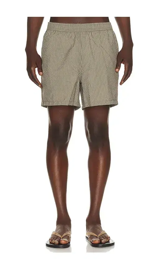Fossil Seersucker Swim Trunks