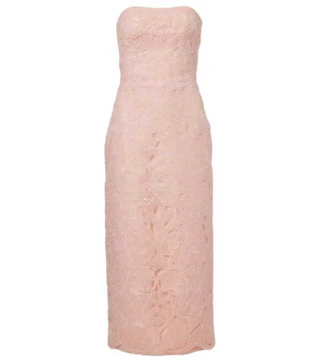 Jillie embroidered organza bustier gown