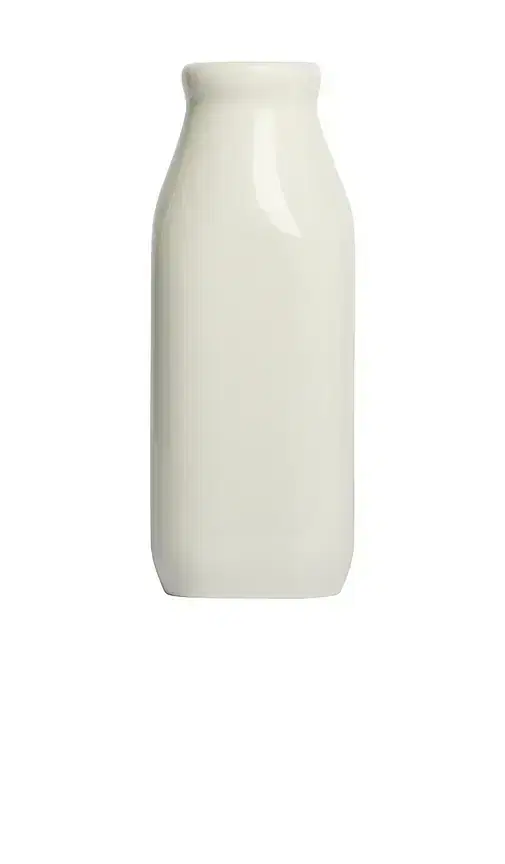 Fish's Eddy Milk Jug