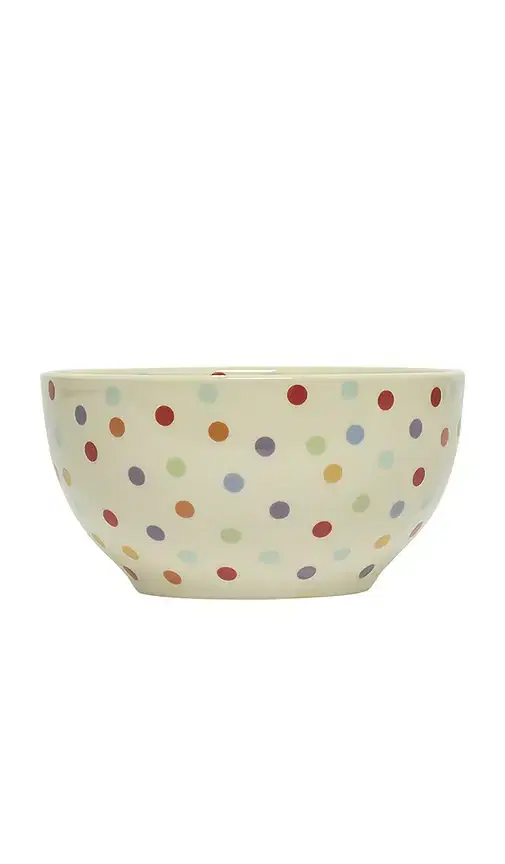 Fish's Eddy Spot On Bowl