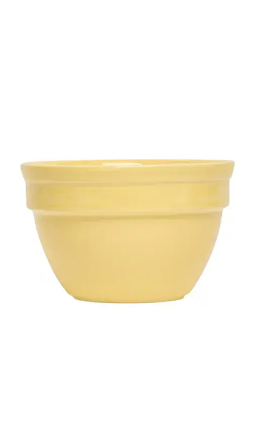 Fish's Eddy Colorware Bowl