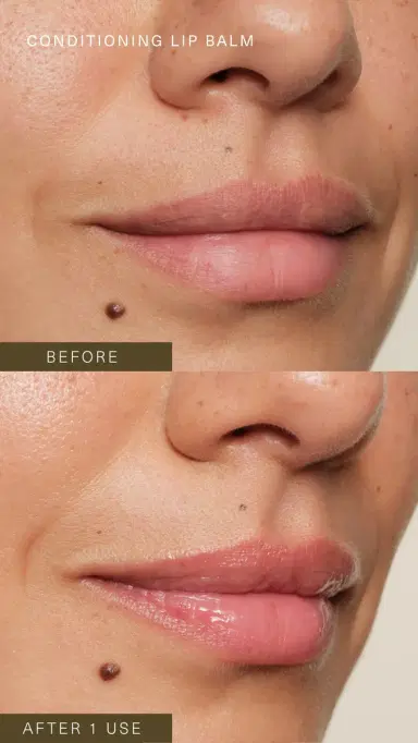 Oak Essentials Conditioning Lip Balm No Color One Size | Thumbnail 4