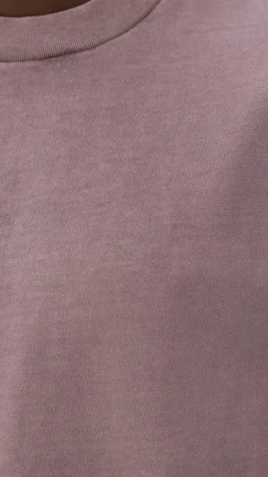 Madewell The Vintage Tee Chalked Fig M | Thumbnail 6