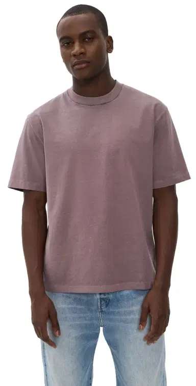 Madewell The Vintage Tee Chalked Fig M | Thumbnail 1