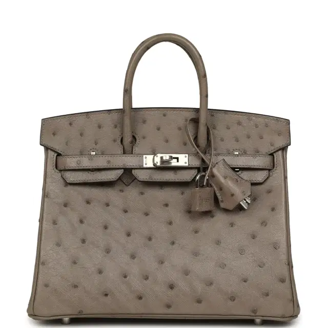 hermes Hermes Birkin 25 Mousse Ostrich Boreal Palladium Hardware