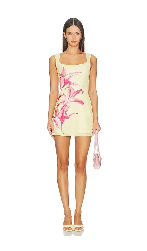 Myles Mini Dress