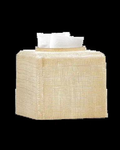 Labrazel Woven Tissue Box Cover, Gold | Thumbnail 2