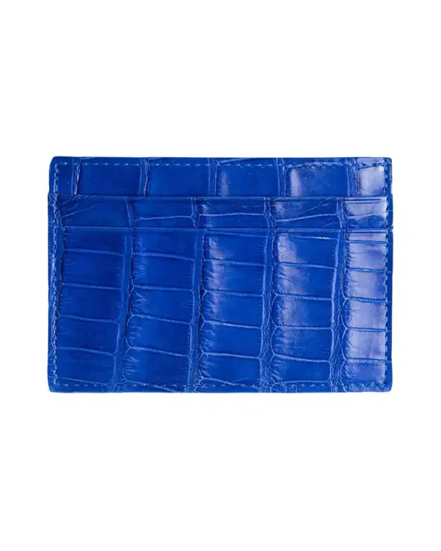 Abas Men 's Alligator Leather Card Case