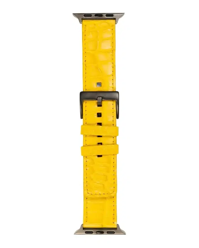 Abas Men's Apple Watch Matte Alligator Watch Strap