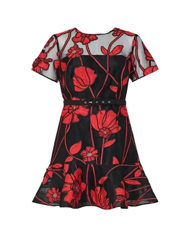 Rosie Belted Floral-Embroidered Mini Dress
