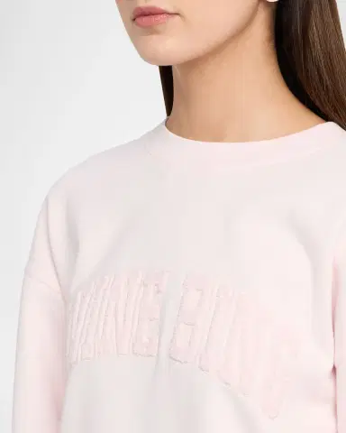 ANINE BING Spencer Logo Sweatshirt | Thumbnail 5